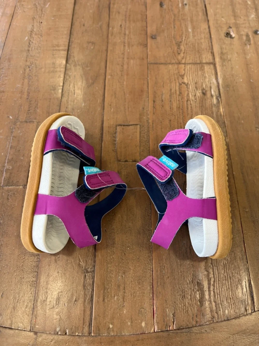 Native Charley hook and loop waterproof sandals little kid 4 purple